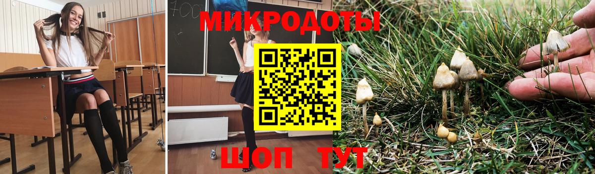 Псилоцибиновые грибы Magic Shrooms Юрга